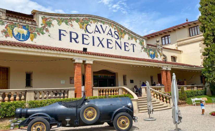 Cavas Freixenet y Peña de Bernal 🍇🍷