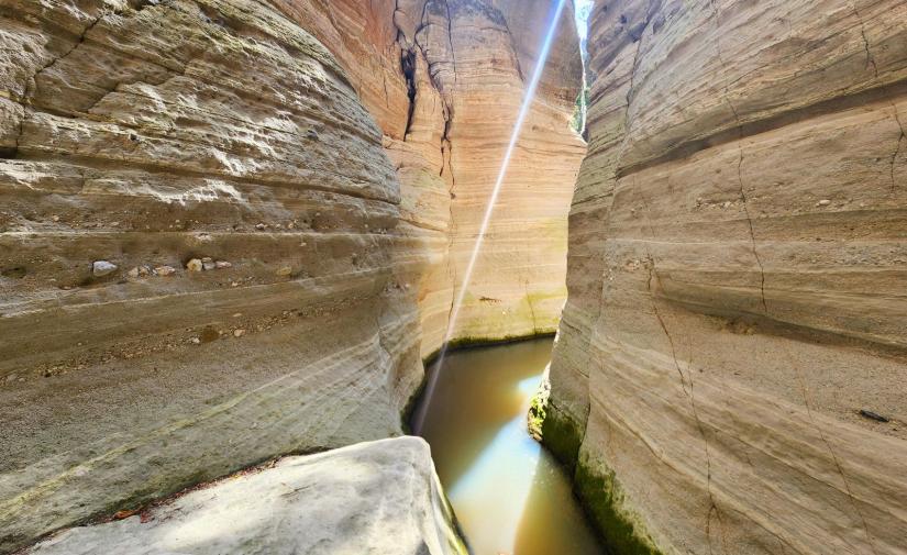 Arroyo del Cura y Omitlán