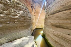 Arroyo del Cura y Omitlán