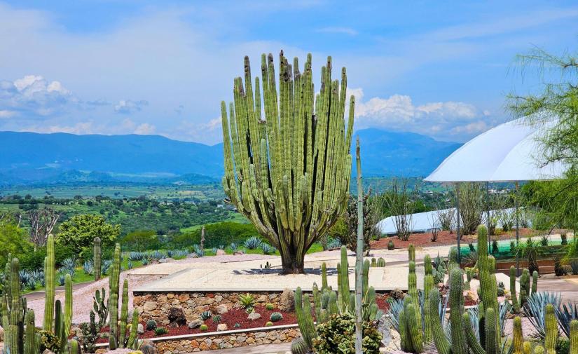 Jardines de México y Tepoztlán 🌵🌸