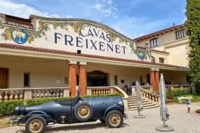 Cavas Freixenet, Uva Bus y Tequisquiapan 🍇🍷