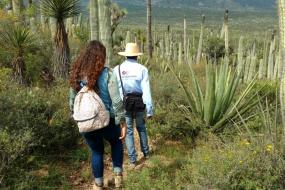 San Juan Raya "Huellas de Dinosaurio'' 🦕