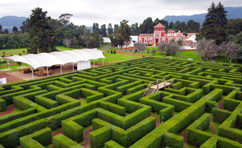 Bosque de Arboles de Navidad 🎄 y Hacienda Panoaya