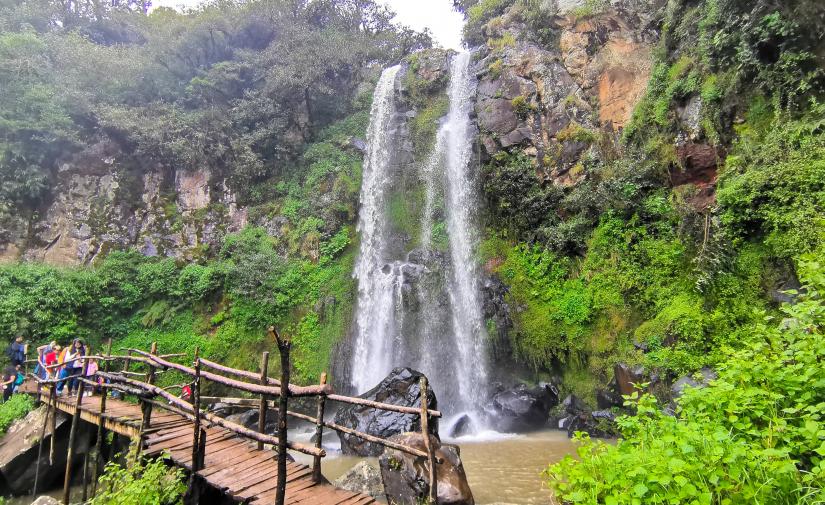 Honey "Cascadas Paraíso" y Zacatlán