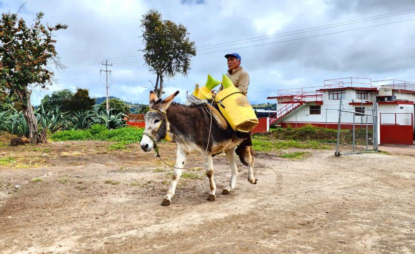 Rancho Pulquero y Zona Arqueológica de Tecoaque