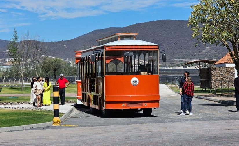 Cavas Freixenet, Uva Bus y Tequisquiapan 🍇🍷