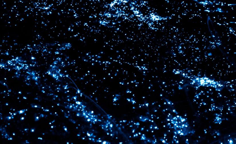 Puerto Escondido con Bioluminiscencia