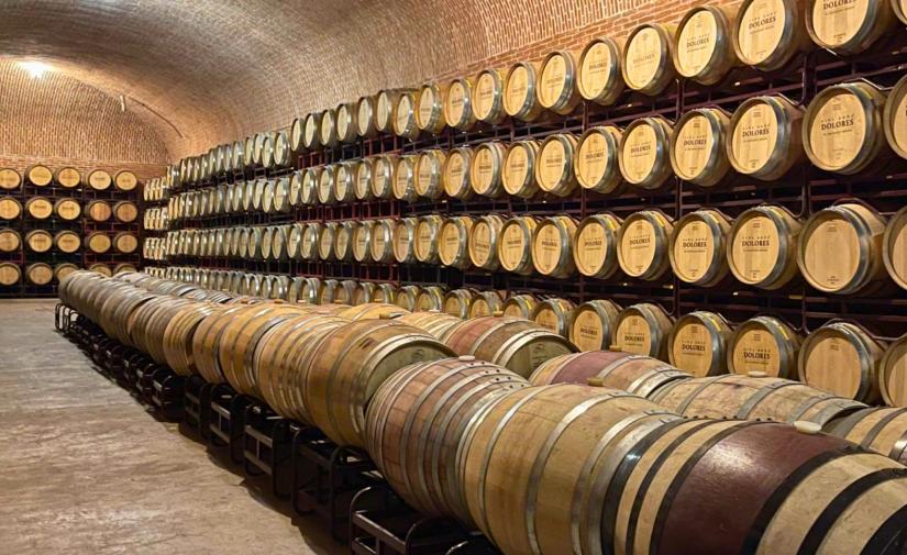 Cavas Freixenet, Uva Bus y Tequisquiapan 🍇🍷