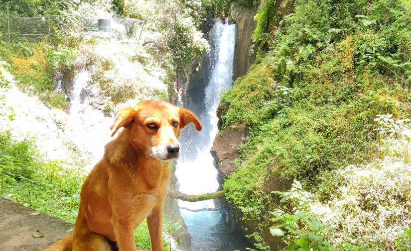 Pancho Poza en Altotonga