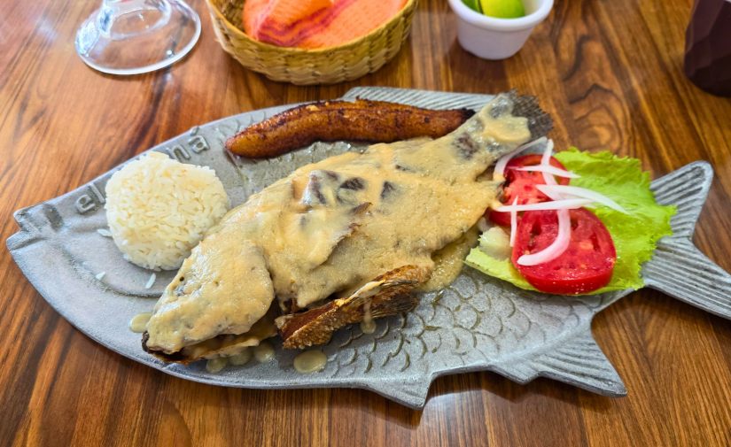 Puerto de Veracruz y Boca del Río